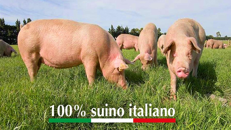 Carni Celin Filiera Controllata